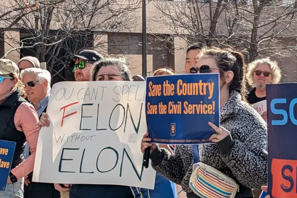 You can't spell "felon" without "Elon"